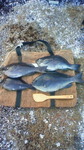 201002051650000.jpg